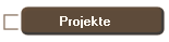 Projekte